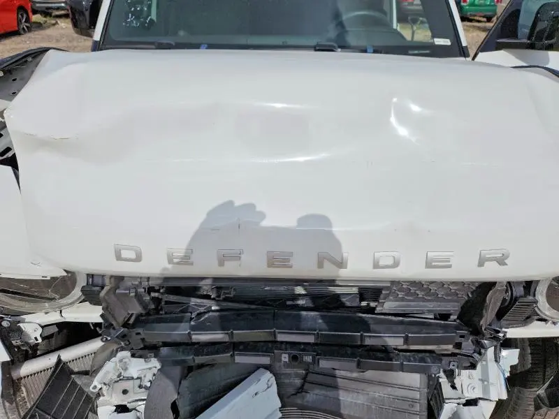 2025 LAND ROVER DEFENDER 110 S  