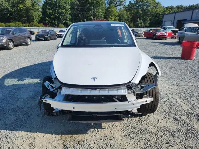 2025 TESLA MODEL Y   
