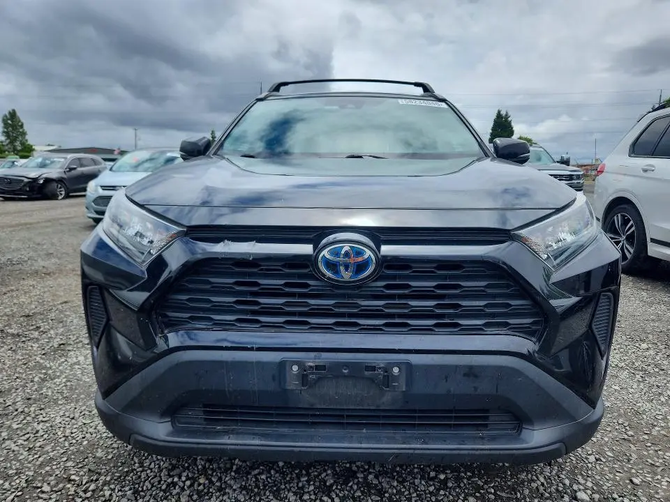 2019 TOYOTA RAV4 LE  