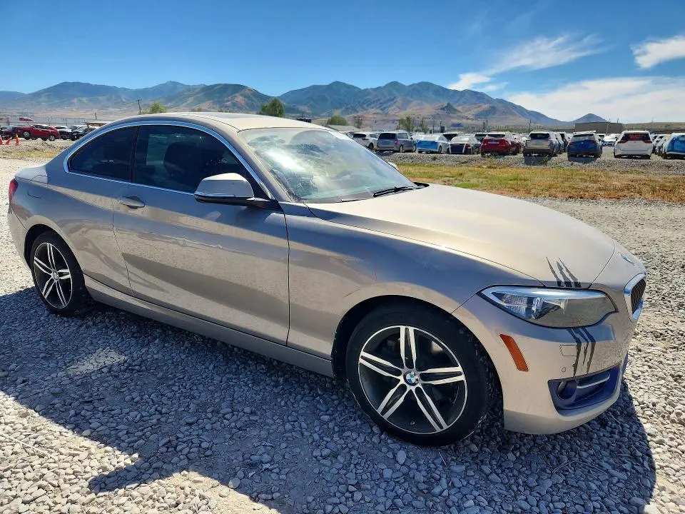 2017 BMW 230XI   