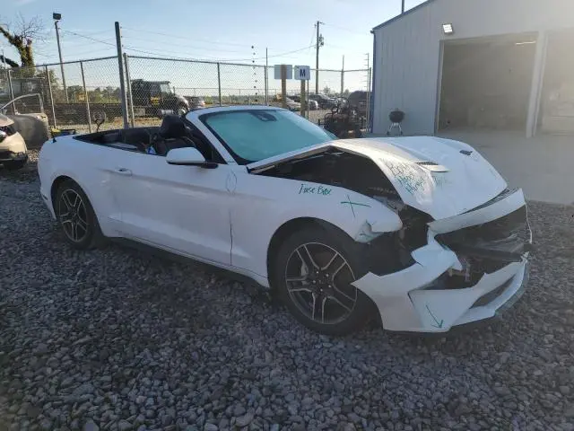 2021 FORD MUSTANG