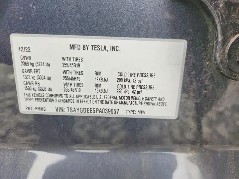 2023 TESLA MODEL Y   