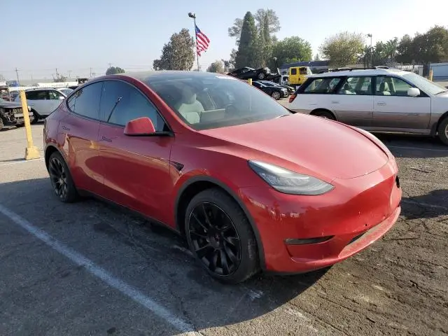2021 TESLA MODEL Y   