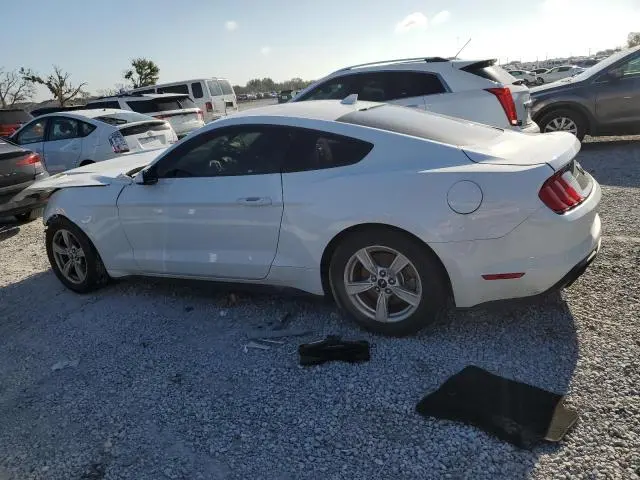 2023 FORD MUSTANG   