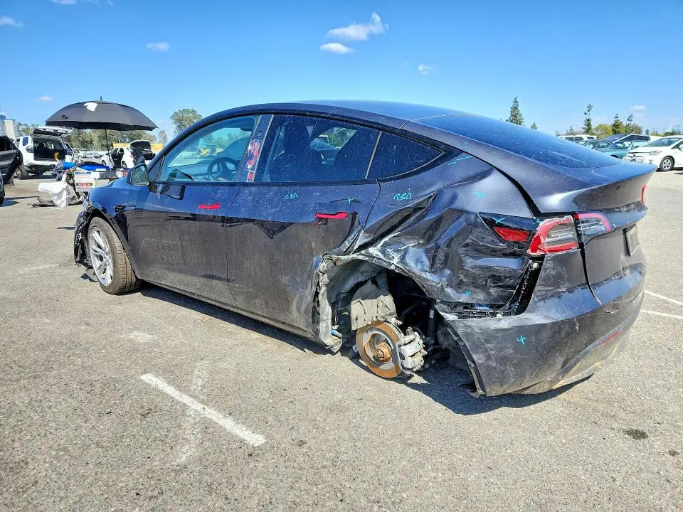 2024 TESLA MODEL Y   