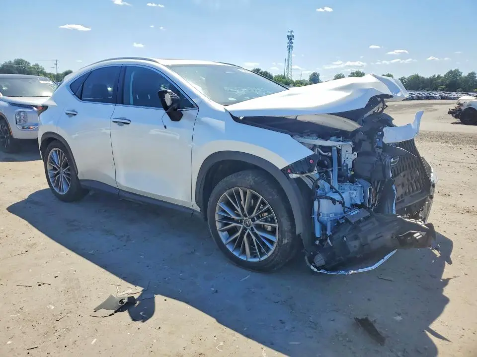 2024 LEXUS NX 350H LUXURY  