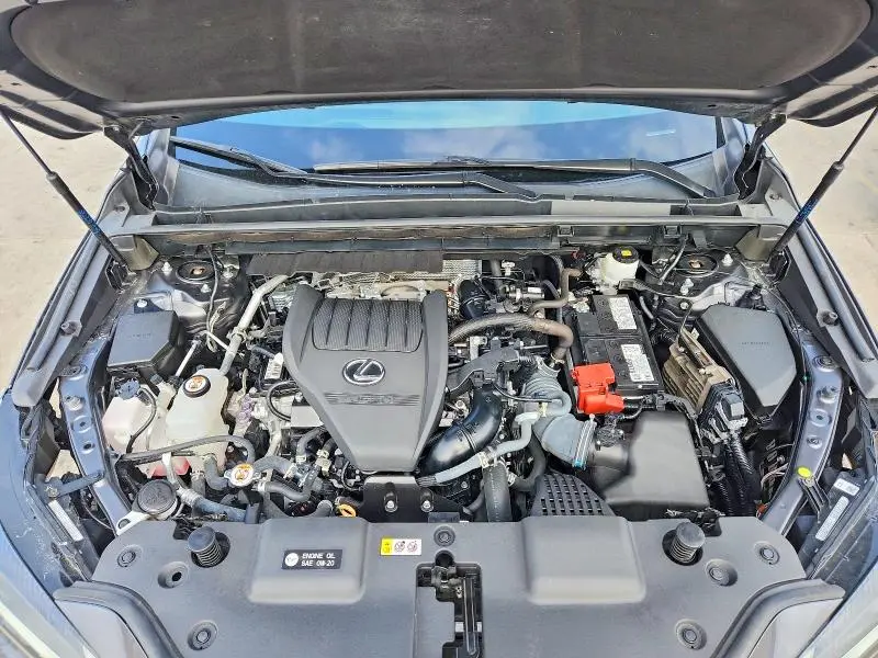 2024 LEXUS NX 350 BASE  