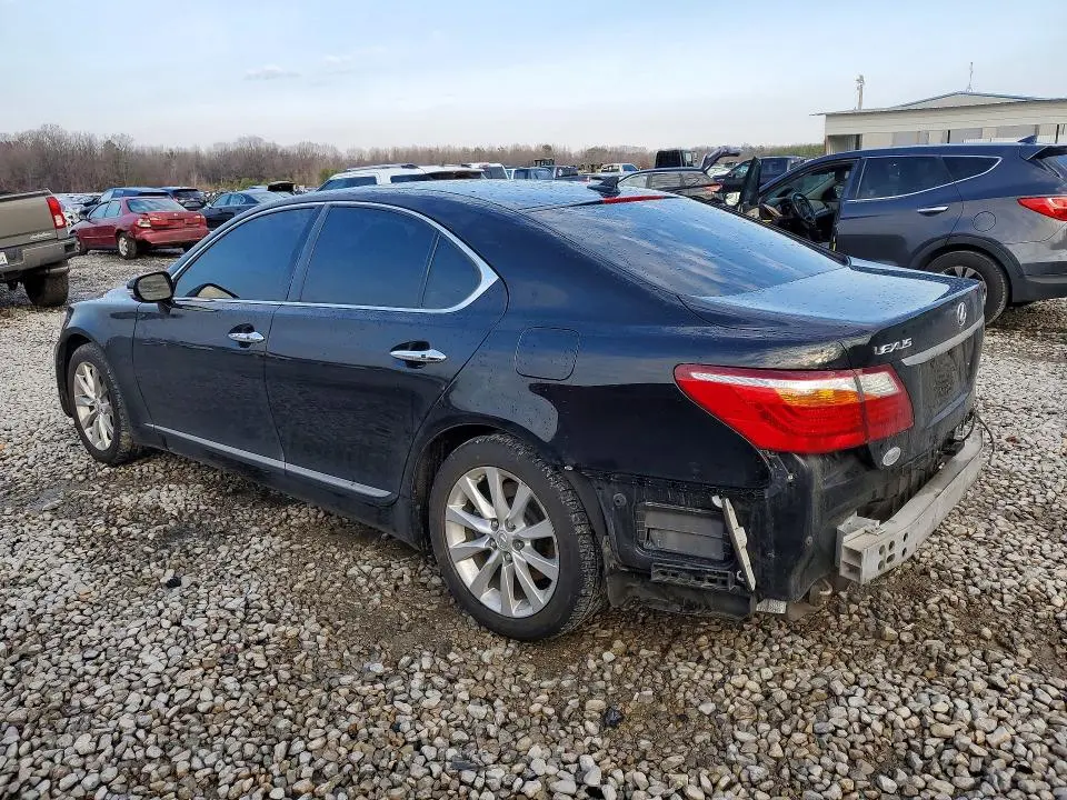 2010 LEXUS LS 460  
