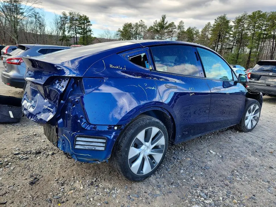 2021 TESLA MODEL Y   