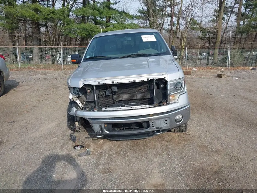 2014 FORD F-150 XLT