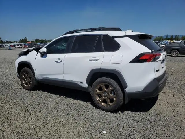 2023 TOYOTA RAV4 WOODLAND EDITION  