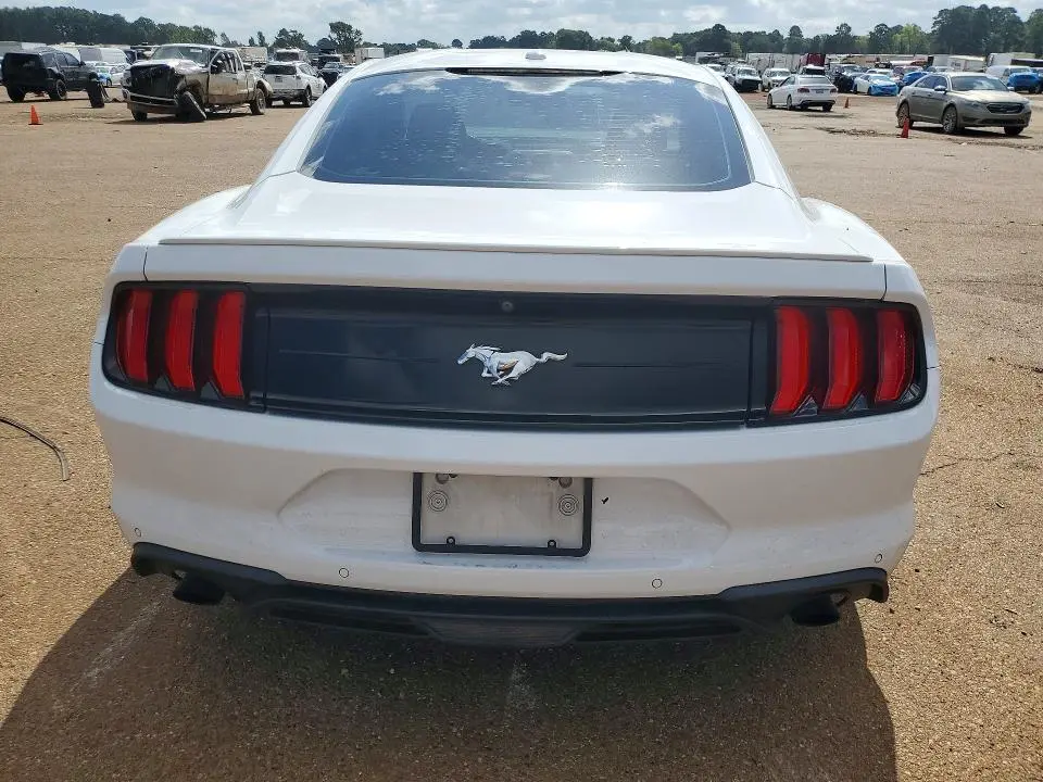 2019 FORD MUSTANG   