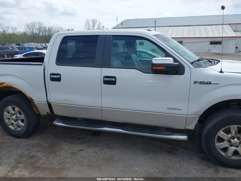 2014 FORD F-150 XLT