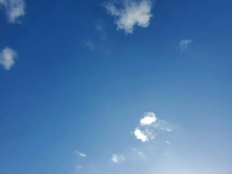 2019 MERCEDES-BENZ E 300  