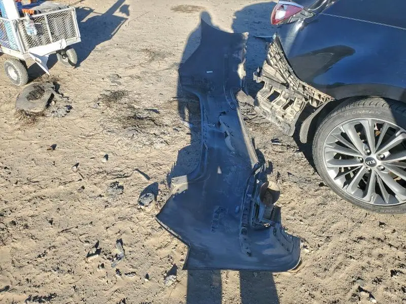 2019 KIA CADENZA LUXURY  