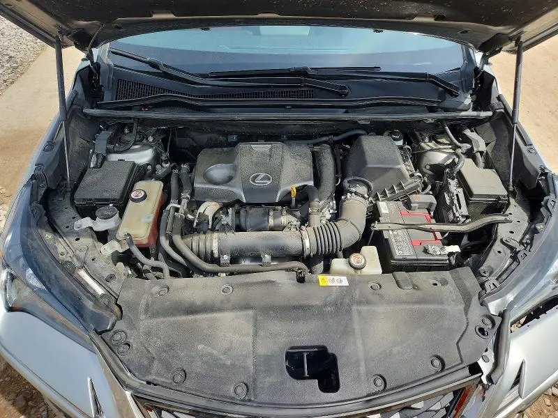 2019 LEXUS NX 300 F SPORT  