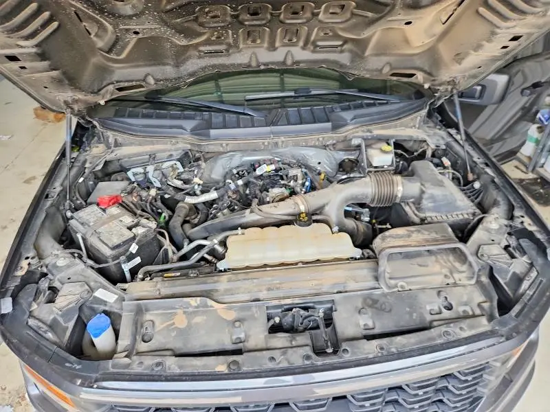 2024 FORD F150 STX  