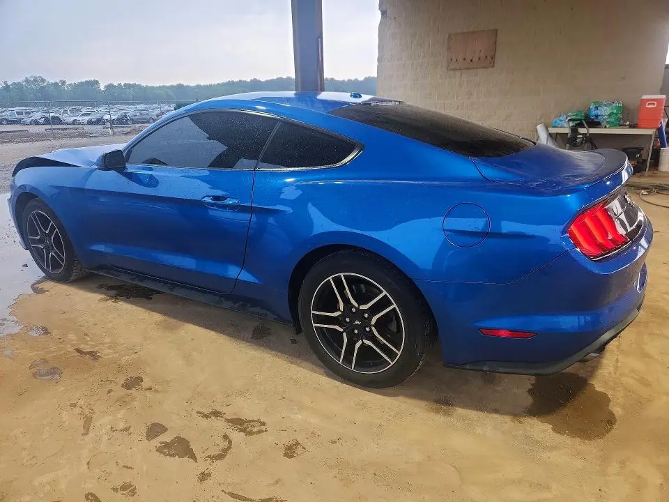 2019 FORD MUSTANG   