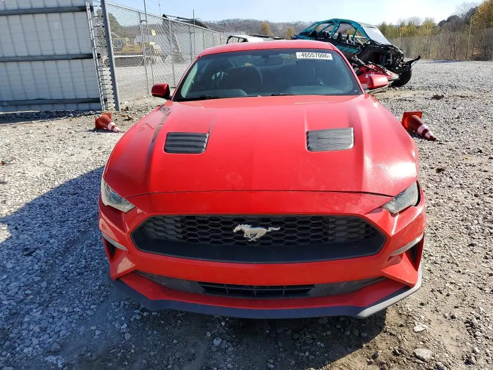 2019 FORD MUSTANG   