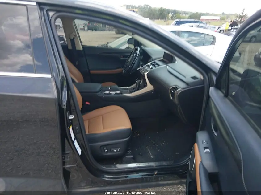2019 LEXUS NX 300H  