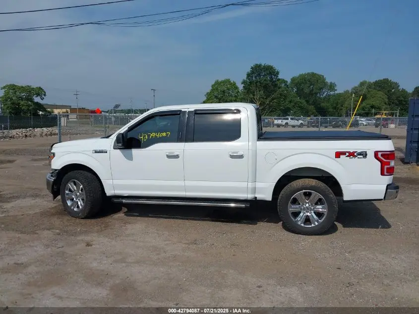 2019 FORD F-150 XLT