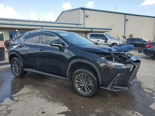 2023 LEXUS NX 350  