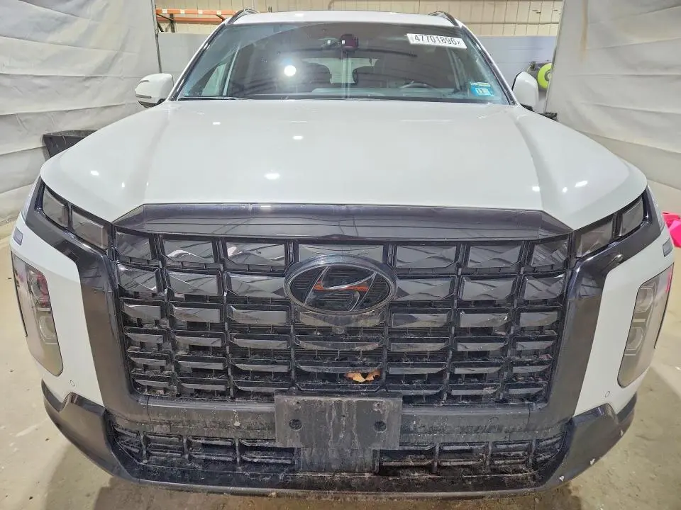 2025 HYUNDAI PALISADE   