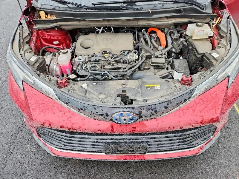 2023 TOYOTA SIENNA XLE  