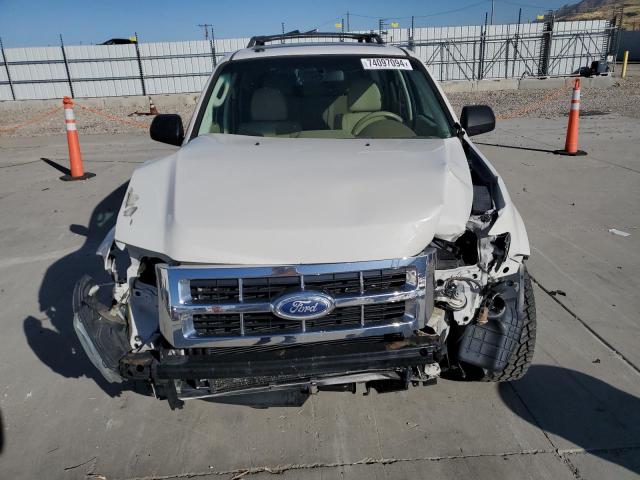 2011 FORD ESCAPE XLT