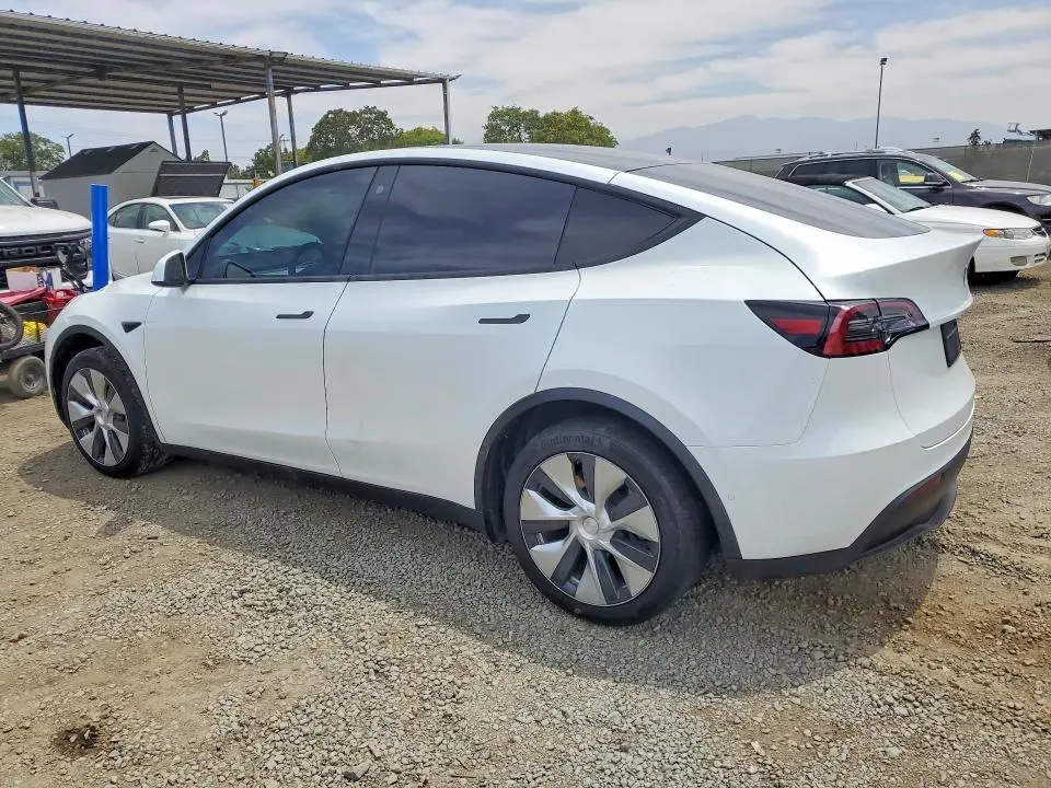 2021 TESLA MODEL Y   
