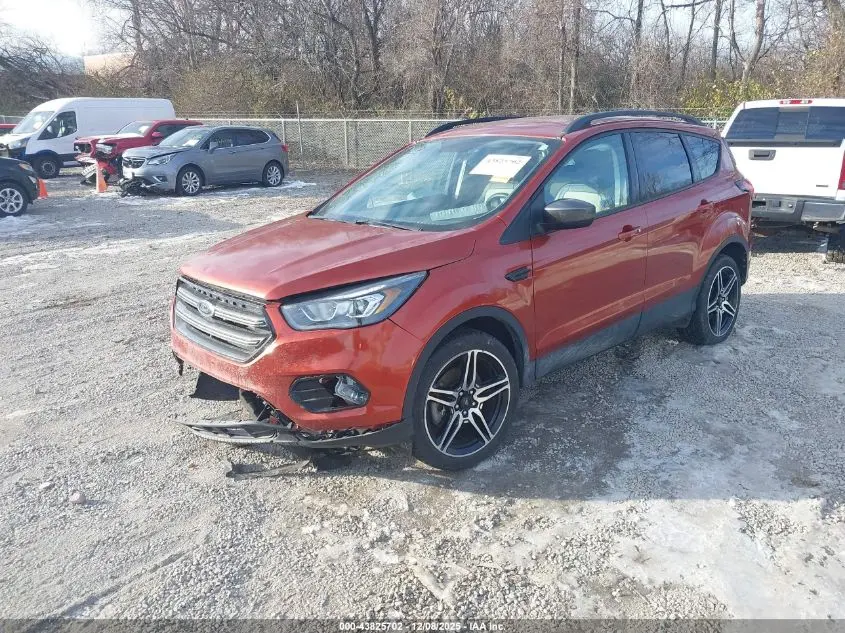 2019 FORD ESCAPE SEL