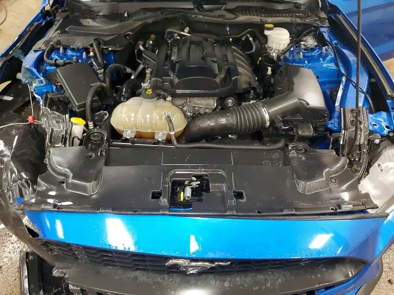 2019 FORD MUSTANG   