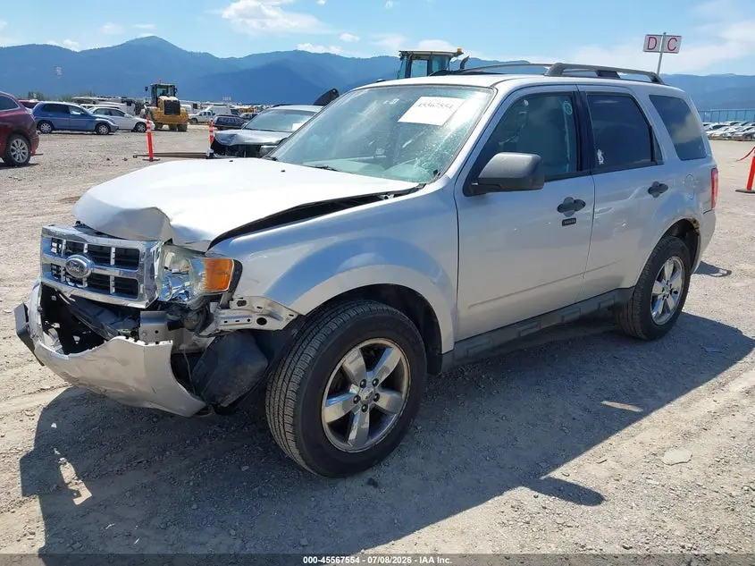 2010 FORD ESCAPE XLT