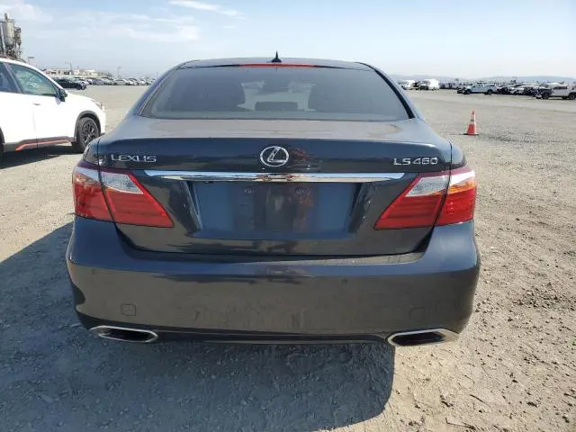 2010 LEXUS LS 460  