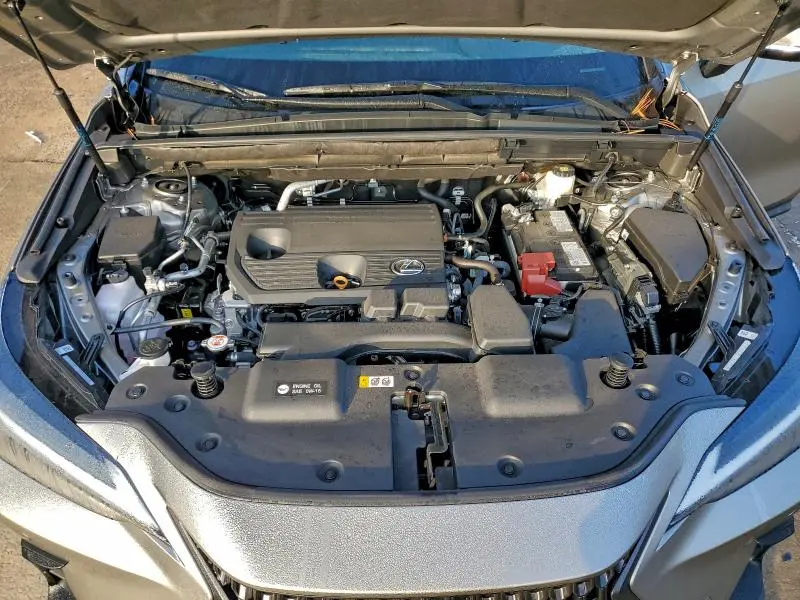 2025 LEXUS NX 250 PREMIUM  