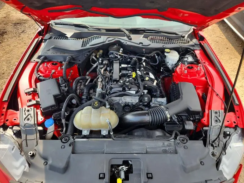 2021 FORD MUSTANG   