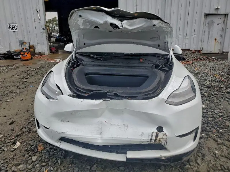 2025 TESLA MODEL Y   