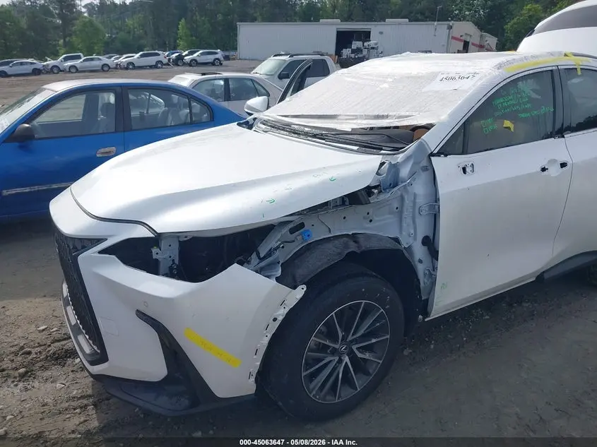 2024 LEXUS NX 350 PREMIUM