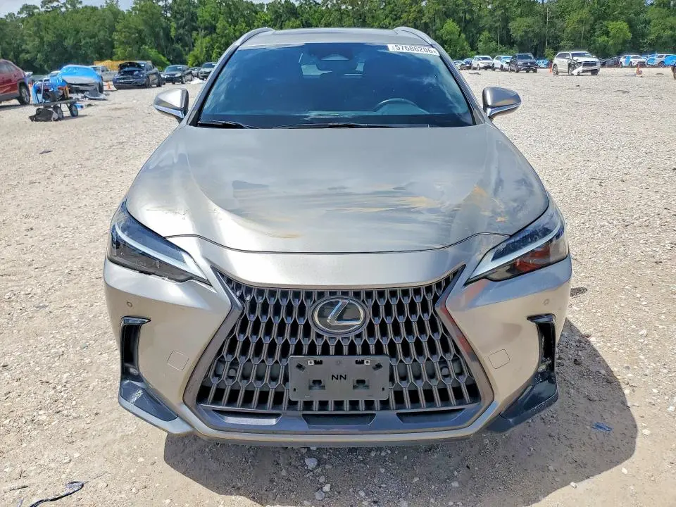 2023 LEXUS NX 350  