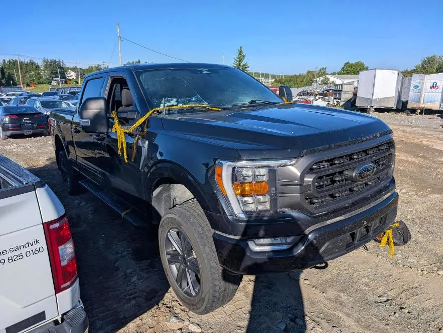 2023 FORD F150 SUPERCREW  