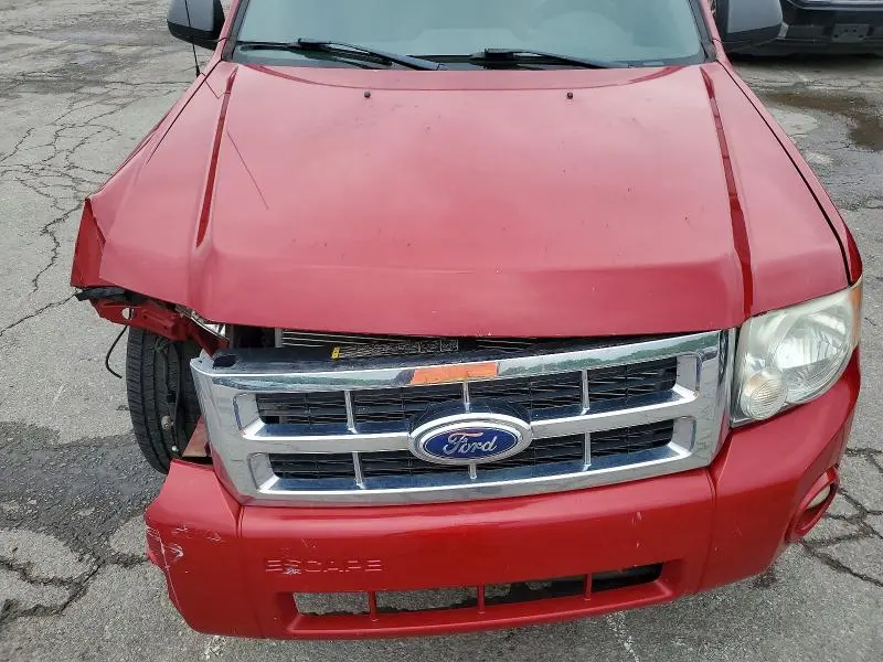 2011 FORD ESCAPE XLT  