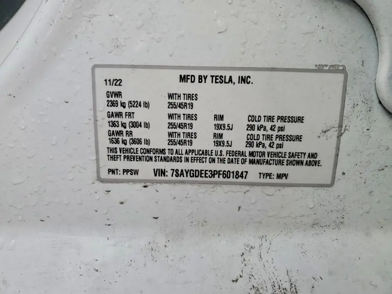2023 TESLA MODEL Y   