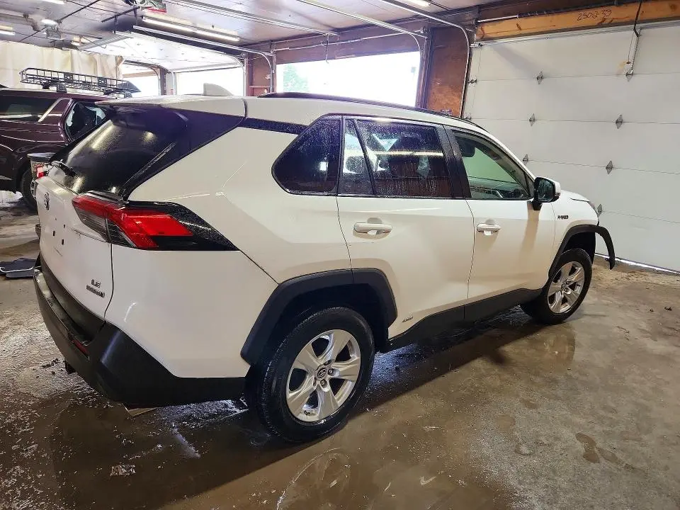 2019 TOYOTA RAV4 LE  