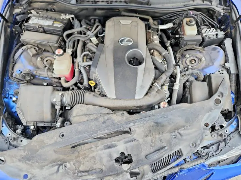 2019 LEXUS IS 300  