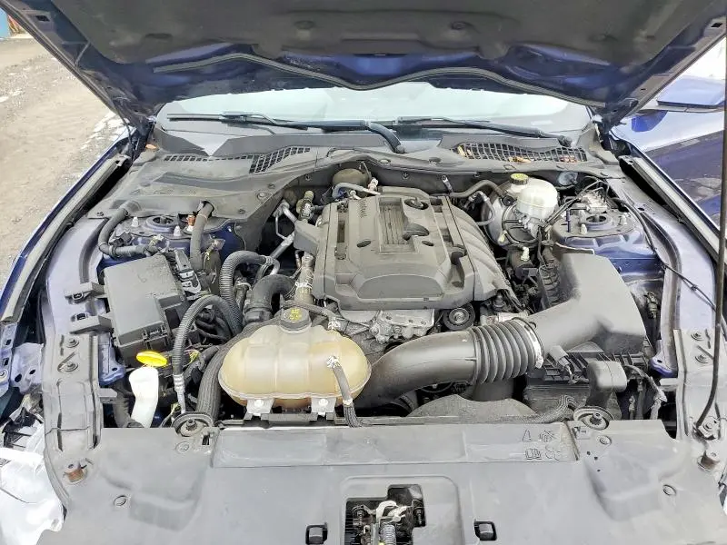 2019 FORD MUSTANG   
