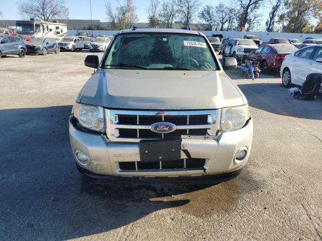 2010 FORD ESCAPE XLT