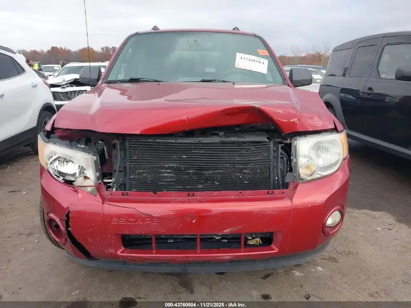 2012 FORD ESCAPE XLT