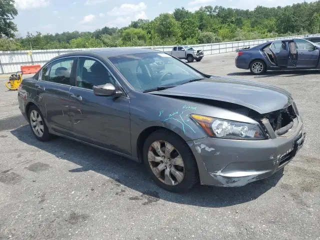2010 HONDA ACCORD EX  