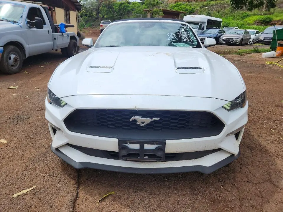 2023 FORD MUSTANG   