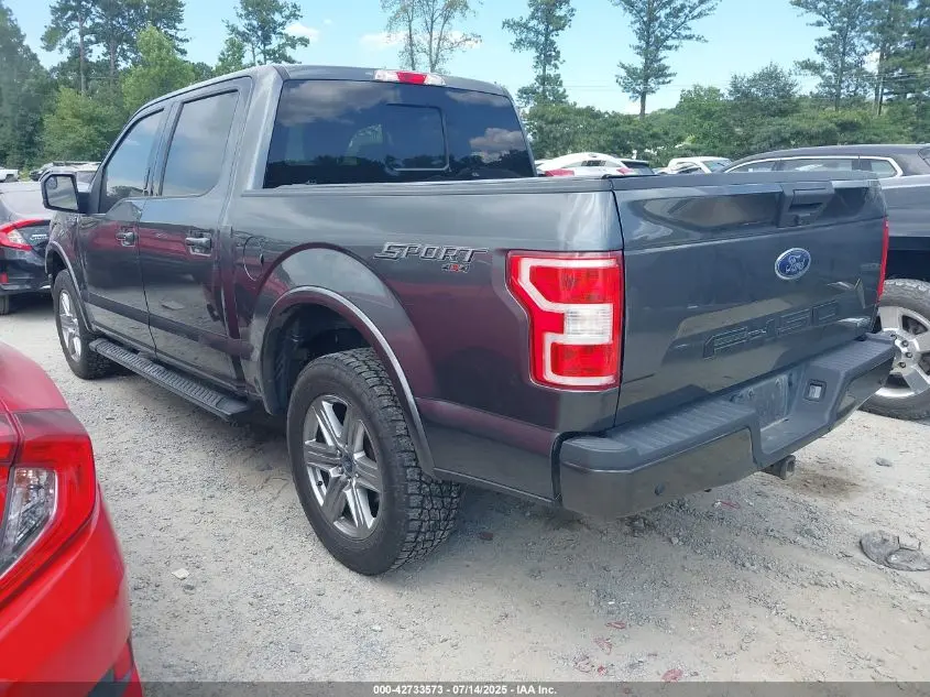 2019 FORD F-150 XLT